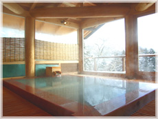 �嗁��w���V�̓��x