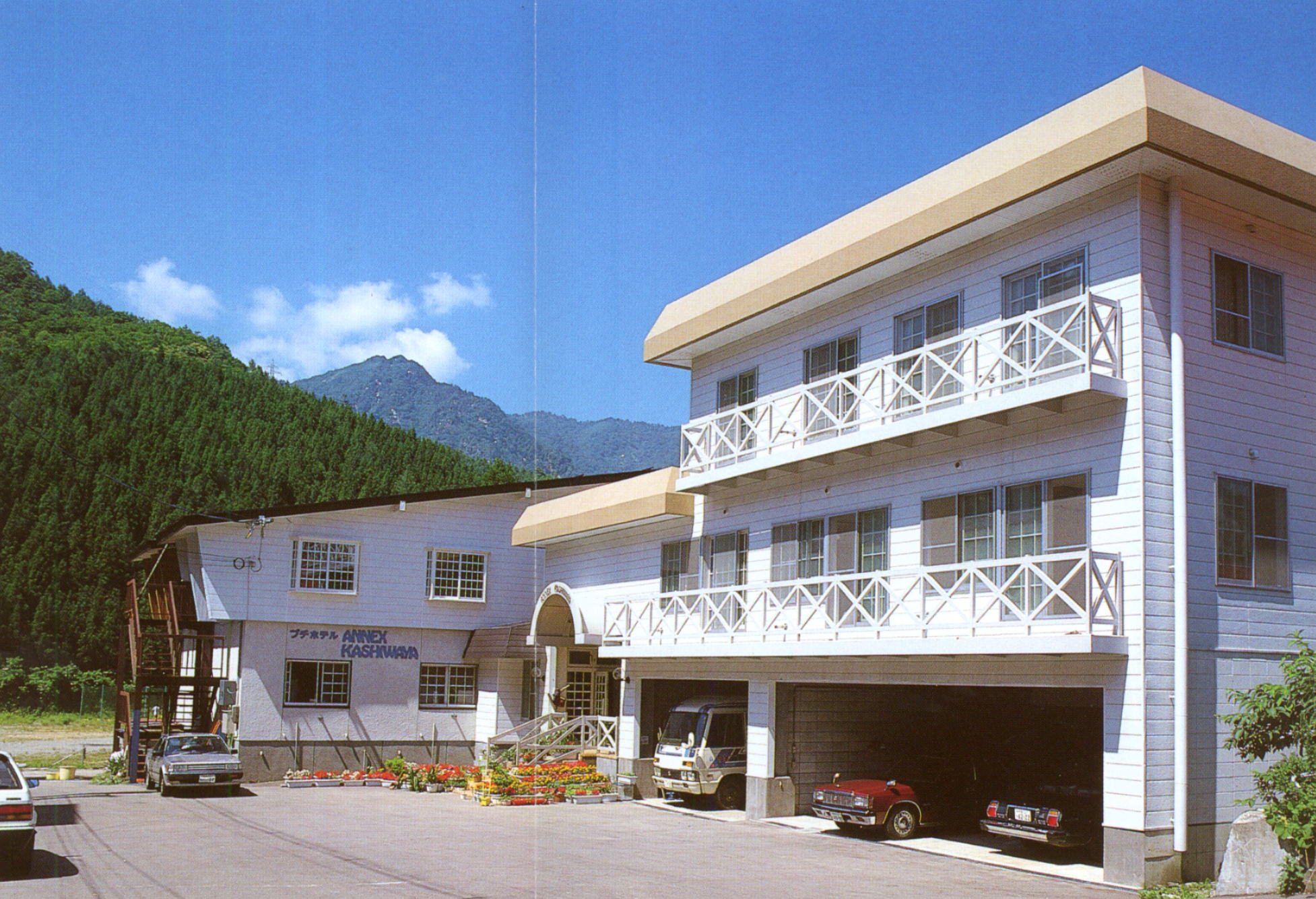 �A�l�b�N�X�������