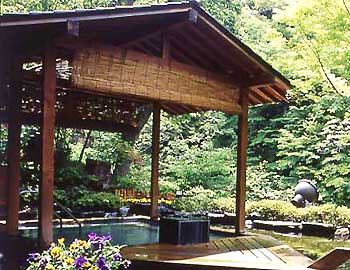 �֒�M�C���� �������ԎR�@�I�V���C