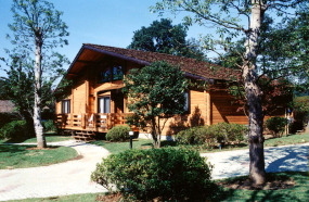 ���\�������̐X