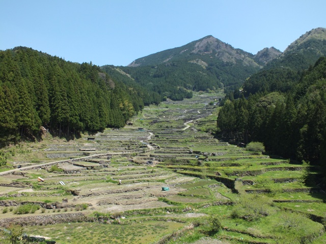 �l�J�̐疇�c