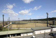 ��t�����s�@�싅��