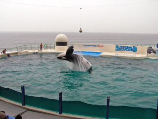 ��t�����h�̏h�������߂̊���n��̊���V�[���[���h