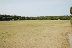 ��t�����h�̏h�������߂̕x�Îs�ӂꂠ���������Z�L��