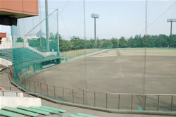 ��t�����h�̏h�������߂̕x�Îs�ӂꂠ�������d���싅��