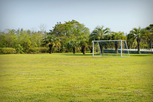 �@���C�l�����W���j�A�T�C�Y �T�b�J�[��