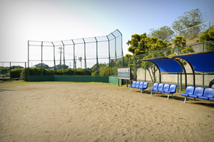 �@���C�l������p�싅��