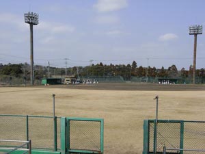 ��t�����h�̏h�������߂̂����ݎs���싅��