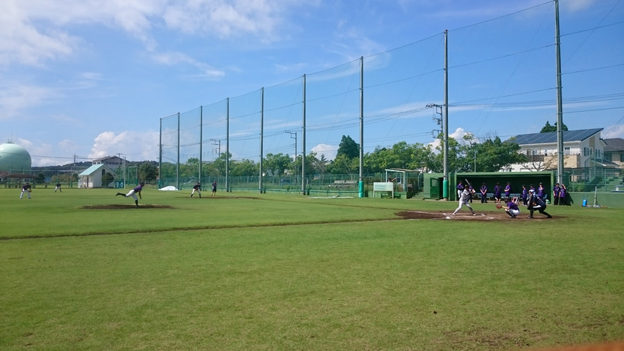 ��t�����h�̏h�������߂̃p�[�N�ނ���싅��