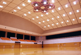 ��t�����h�̏h�������߂̓����A���[�i