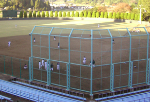 ��t�����h�̏h�������߂̓����N�̐X�����싅��