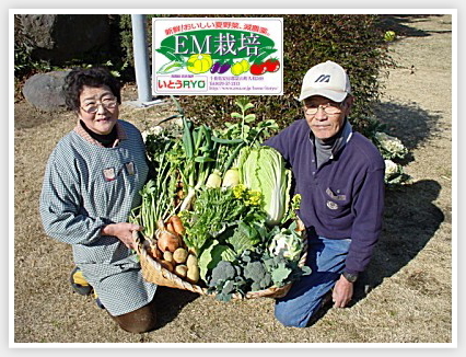 ���C�� ���Ƃ��q�x�n���Ɣ_��