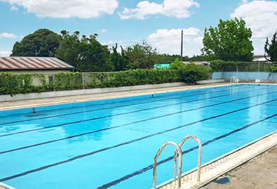 ���q�X�|�[�c�^�E���v�[��