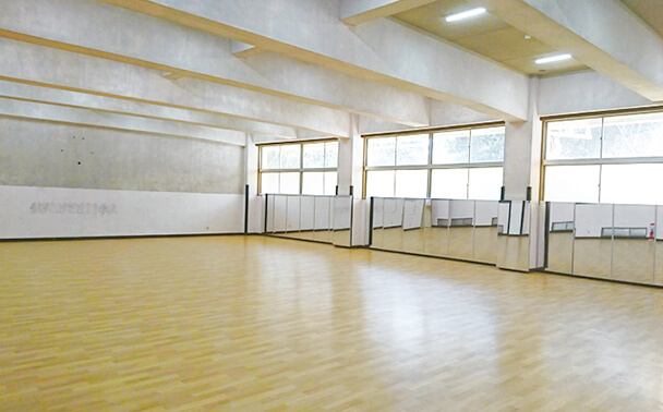 ���q�X�|�[�c�^�E�����ړI���[��