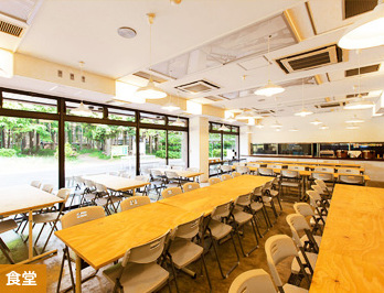 ���a�̐X�t�H���X�g�r���b�W���X�g����