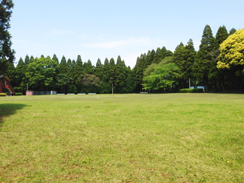 ���a�̐X�t�H���X�g�r���b�W�t�H���X�g�t�B�[���h