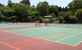 ���a�̐X�t�H���X�g�r���b�W�e�j�X�R�[�g