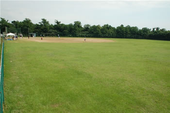 �x�É^�������싅��