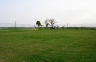 �@���V�[�T�C�h�C�����쑑�O�����h