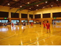 ���̗t����