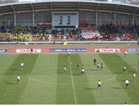 ���̗t����