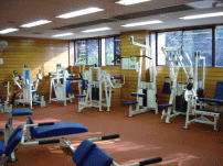 ���̗t����