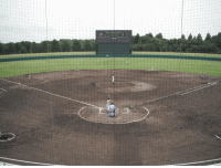 ���̗t����