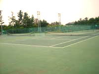 ��\�㗢��{�@�e�j�X�R�[�g