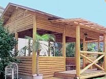 ���C�݁@����Ȋ�BBQ