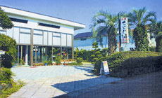 ���C�� ���h�����ފO��