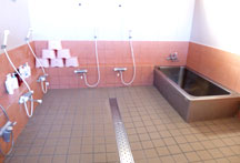 ���C�� ���h�����ޗ���