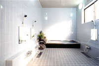 ���C�� �����q���C