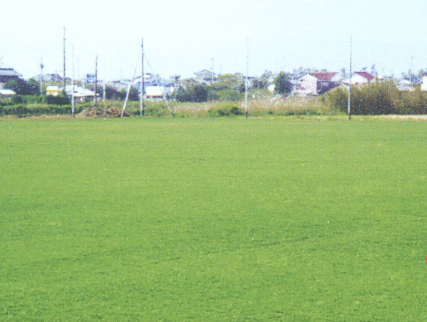 ��\�㗢�@������