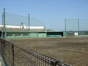 �΋��������ƃX�|�[�c�̐X