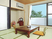 ���q����@�A�l�b�N�X�T���V���C���q��