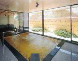 ���q����@�z�e���j���[�J�l�C �嗁��