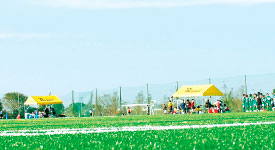 ���q����@�z�e���j���[�J�l�C�����^����