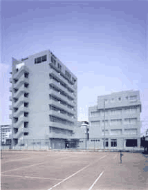 ���q���� �T�����C�Y�I�[�c�J�O��