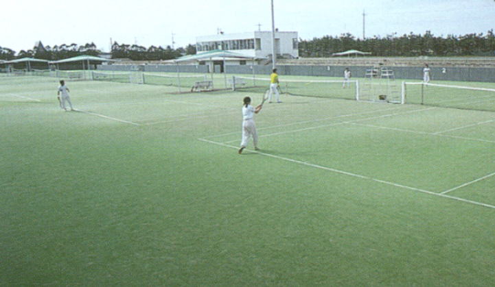 �[�����q�T�j�[�C���ނ���