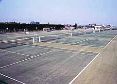 ���q����@�z�e�����C�� �e�j�X�R�[�g