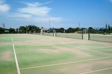 ���q����@���q�z���C�g�p���X �e�j�X�R�[�g