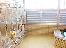 ���쒬�@�T���Z�b�g�u���[�Y�ۓc���C