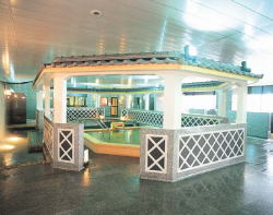 �V�R���� ���ς炾�������q����