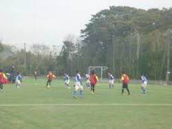 �V�R���� ���ς炾�������q�ŃO�����h