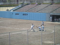 �V�R���� ���ς炾�������q