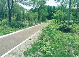 �H���΃��W�[�i�̐X