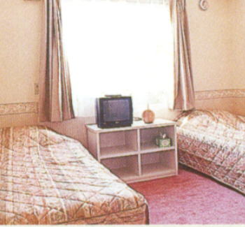 �H���΁@�y���V���������[�L���O�X