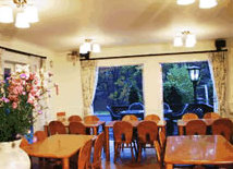 �H���΁@�y���V���������[�L���O�X