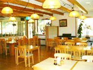 �H���΁@�y���V�����E�G�̖�