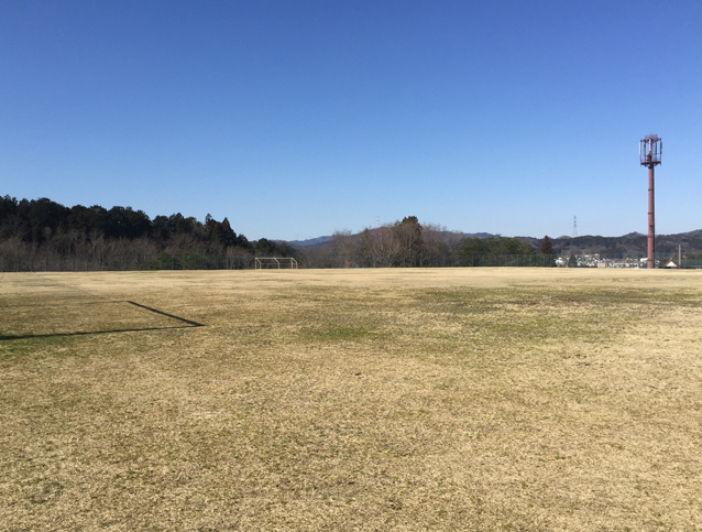 ���l�T���X�I�q